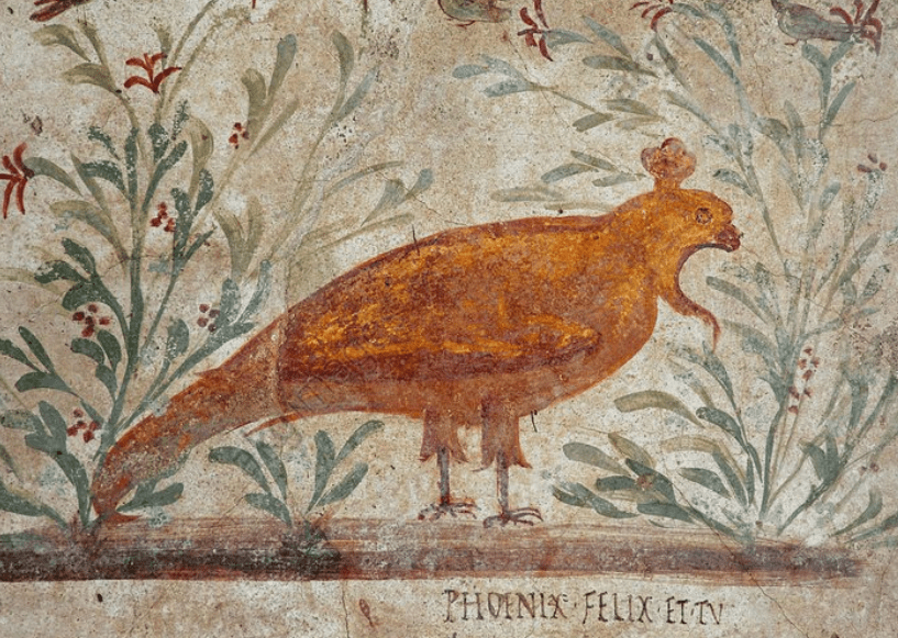 Feniks-vennootschappen naar Belgisch&nbsp;recht