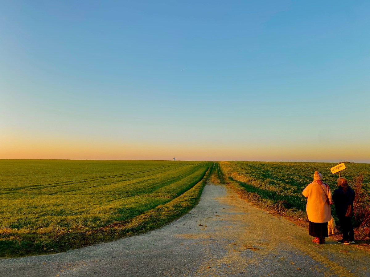Over oud en nieuw. Cassatie over gerechtskosten en de&nbsp;opschorting