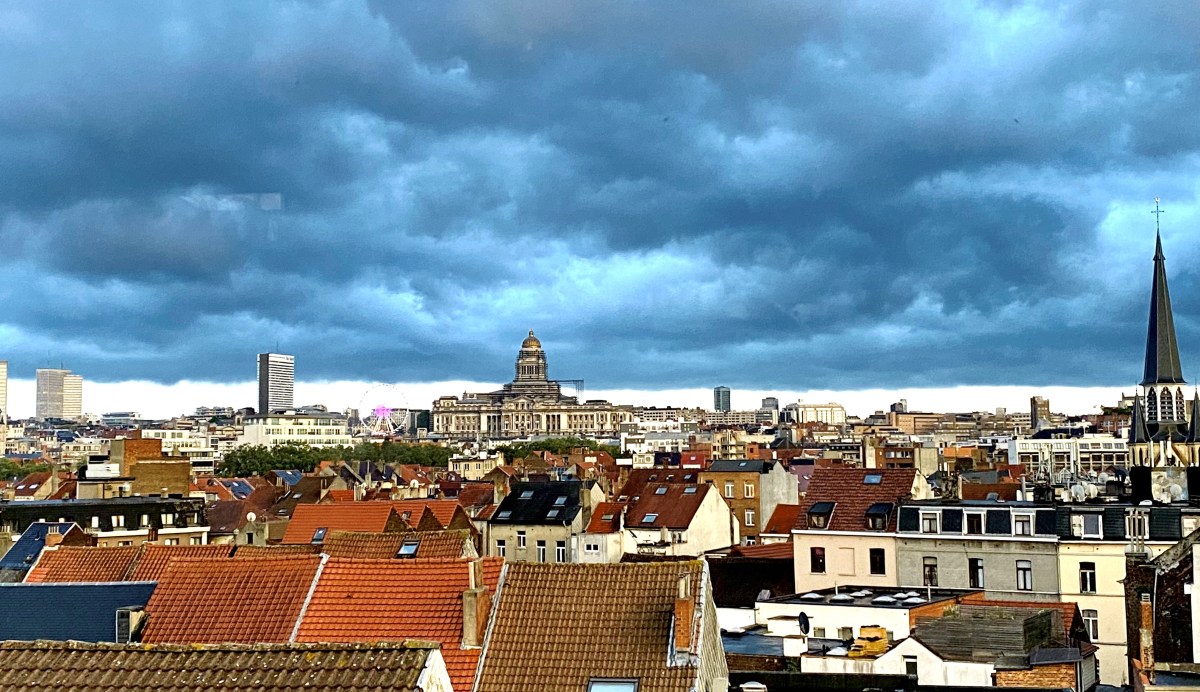 Beginselen van Organisatierecht (ed.&nbsp;2021)